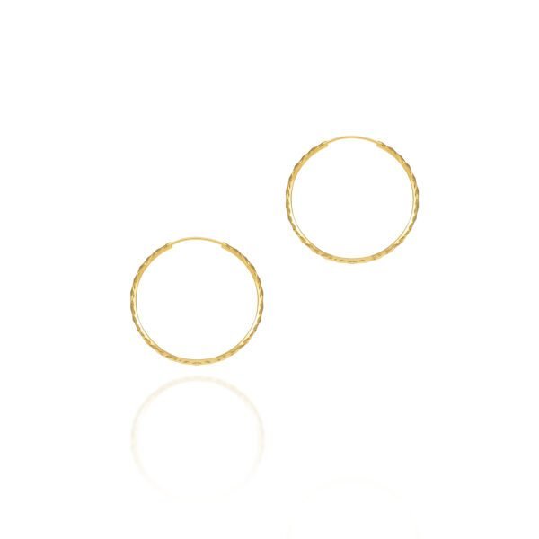 Gold Earrings
